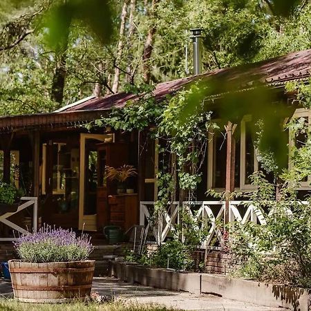 Forest Cottage With Lovely Garden & Sauna Doornspijk 外观 照片