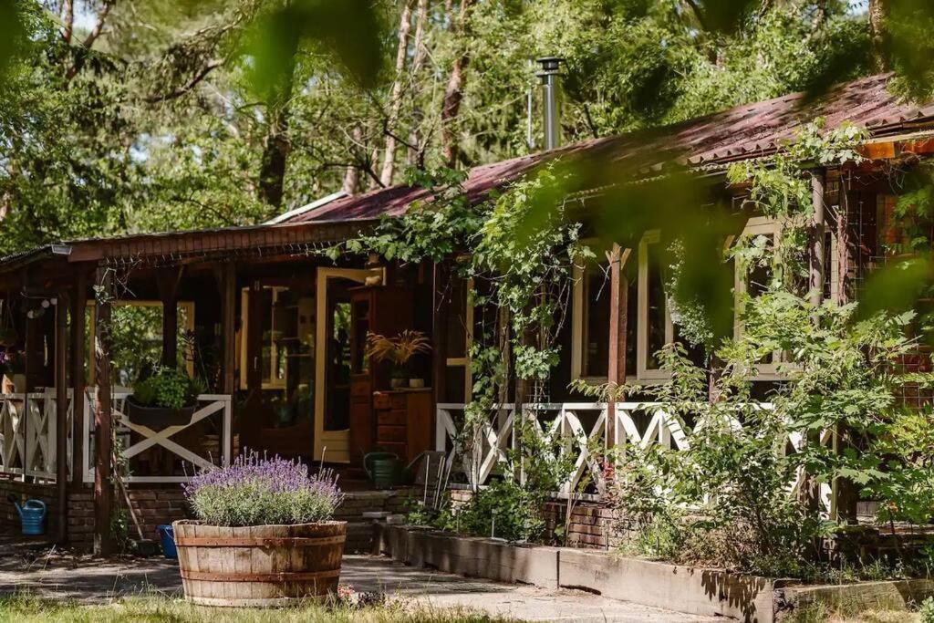 Forest Cottage With Lovely Garden & Sauna Doornspijk 外观 照片