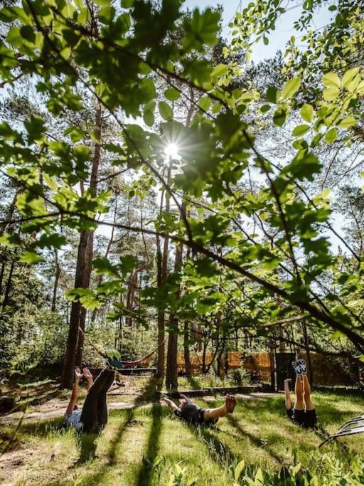 Forest Cottage With Lovely Garden & Sauna Doornspijk 外观 照片