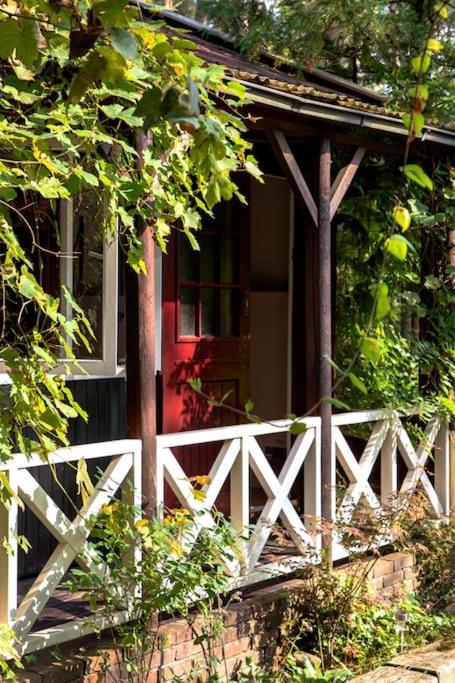Forest Cottage With Lovely Garden & Sauna Doornspijk 外观 照片
